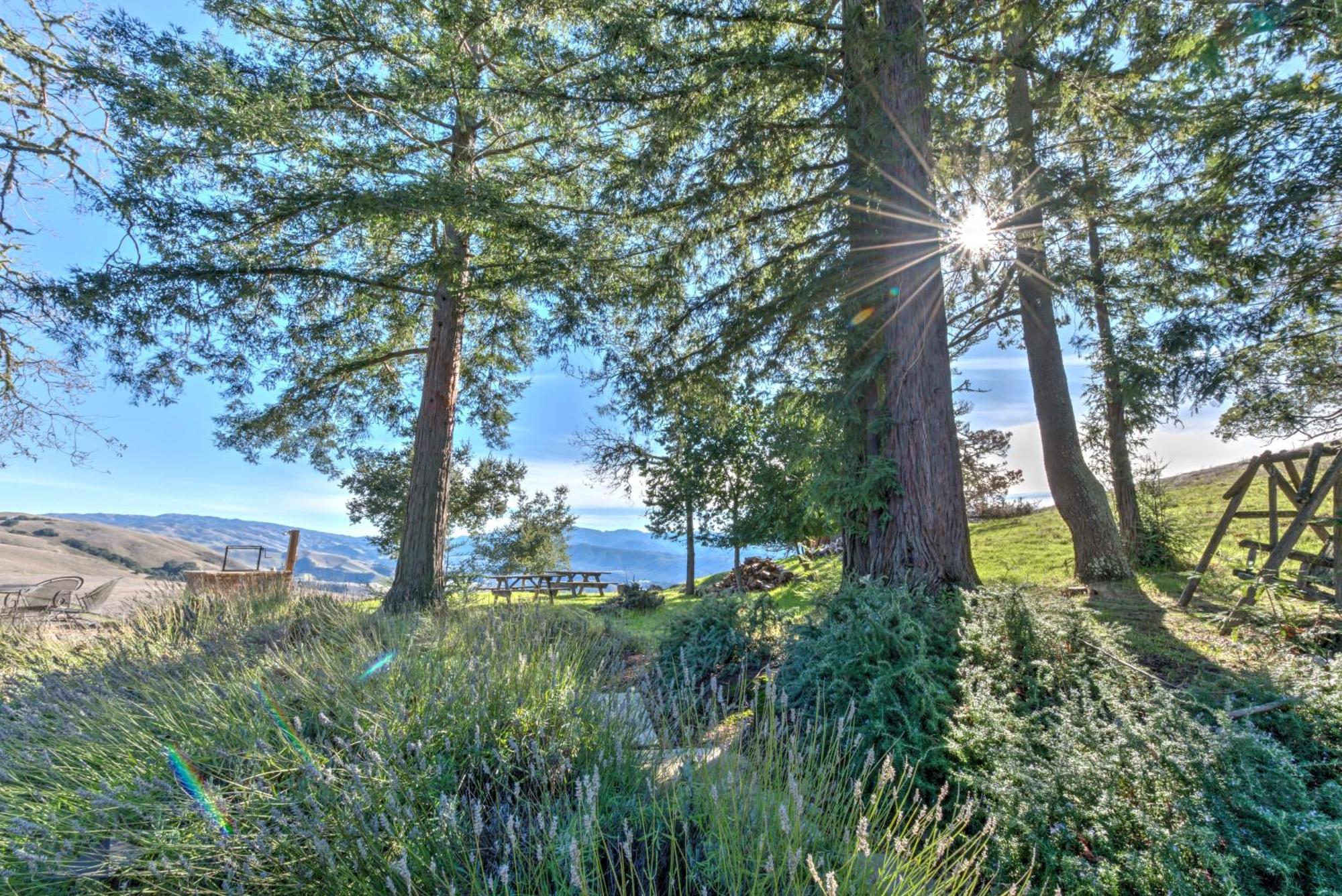 Lx37 Weathertop Ranch In Carmel Wine Country Carmel Valley Bagian luar foto